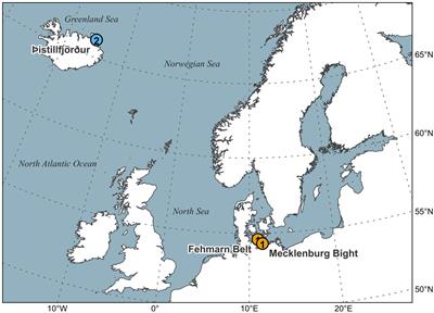 Shell microstructures (disturbance lines) of Arctica islandica (Bivalvia): a potential proxy for severe oxygen depletion